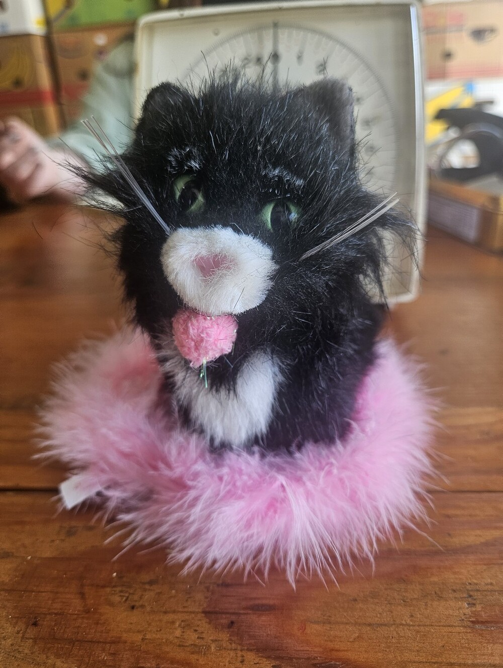American Girl Doll 2003 Licorice Black and White Cat with cushion & Toy